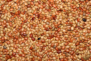 Horse gram
