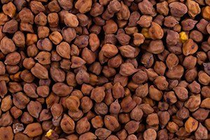 Kala channa