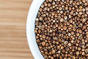 Coriander