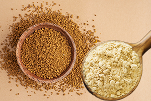Fenugreek