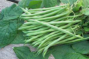 Beans