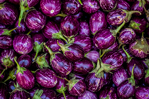 Brinjal