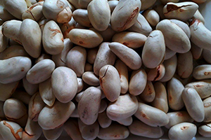 Jackfruit seed