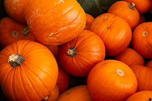 Pumpkin